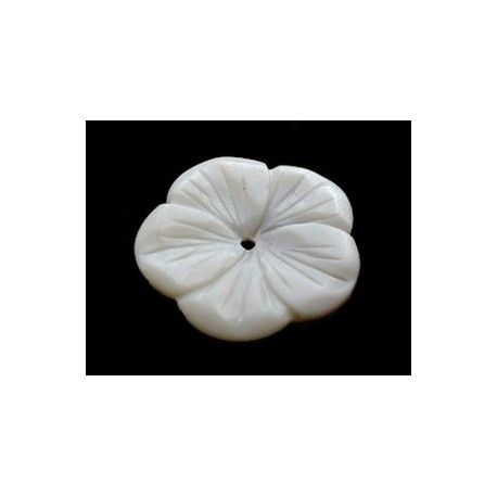 Nacre blanche fleur trou central 30mm x1  - 1