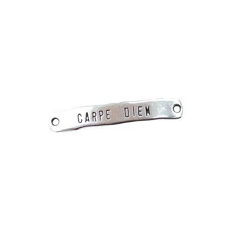 Intercalaire message 'Carpe diem' 40x6mm ARGENTÉ SATINÉ  - 1