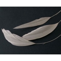 Coq striped feather 5/6cm SAND x2