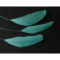 Coq striped feather 5/6cm LIGHT TURQUOISE x2