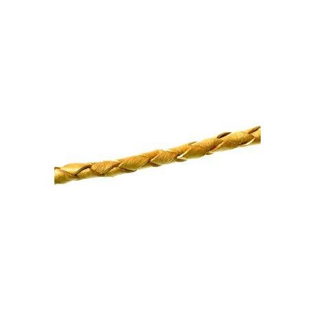 Cuir rond tressé 4mm GOLD x50cm  - 1