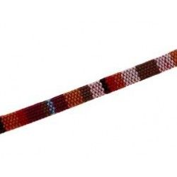Ethnic flat lace 5mm MULTI RED x50cm