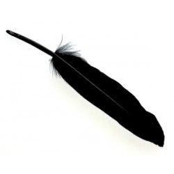 Feather 8/10cm BLACK x3