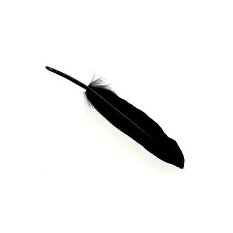 Plume 8/10 cm NOIR x3  - 1