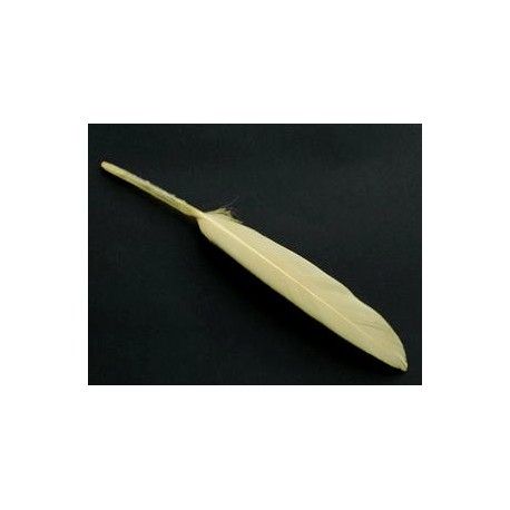 Plume 8/10 cm SILK x3  - 1