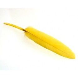 Feather 8/10cm YELLOW x3