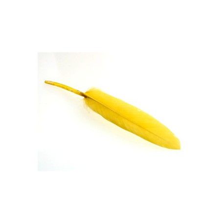 Plume 8/10 cm JAUNE x3  - 1
