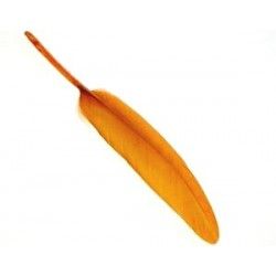 Feather 8/10cm CANNELLE x3