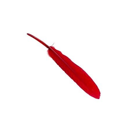 Plume 8/10 cm CARMIN x3  - 1