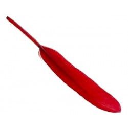 Feather 8/10cm RED x3