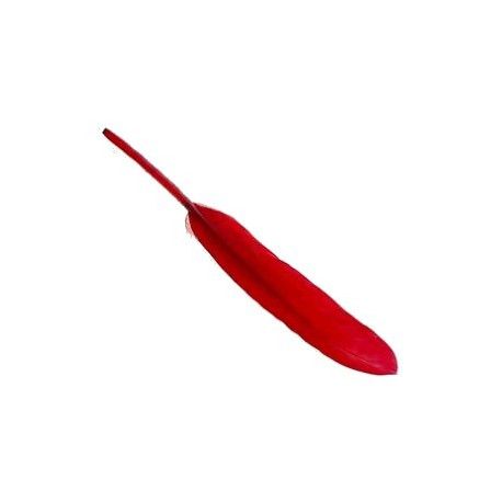 Plume 8/10 cm ROUGE x3  - 1