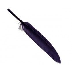 Feather 8/10cm INDIGO x3