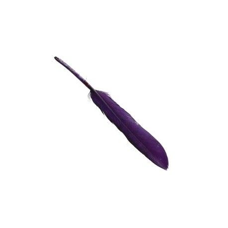 Plume 8/10 cm PURPLE x3  - 1