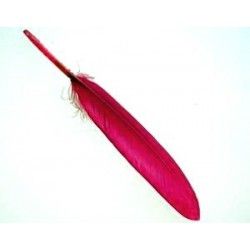 Feather 8/10cm DARK FUSHIA x3