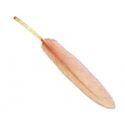 Feather 8/10cm VINTAGE ROSE x3