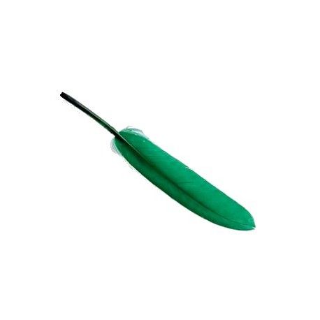 Plume 8/10 cm EMERALD x3  - 1