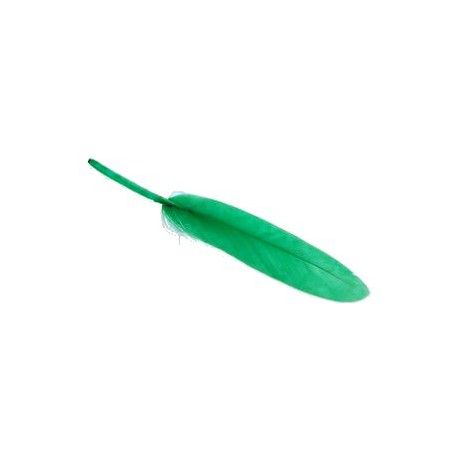 Plume 8/10 cm LIGHT EMERALD x3  - 1