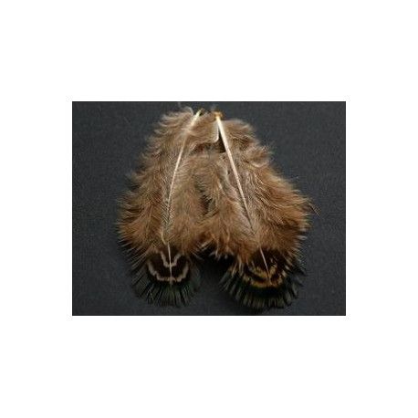 Plume de faisan 6/8cm tigré BRUN/BEIGE x2  - 1