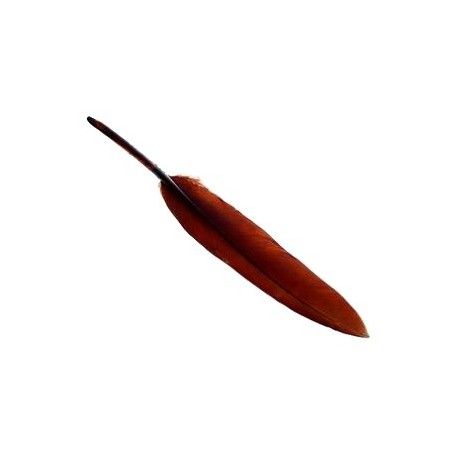 Plume 8/10 cm MARRON/ACAJOU x3  - 1