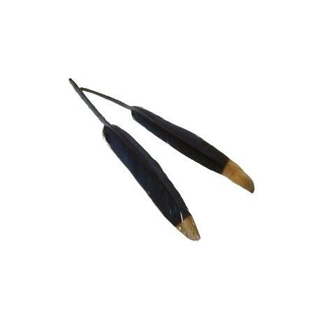 Plume 8/10 cm NOIR Pointe Doré x2  - 1
