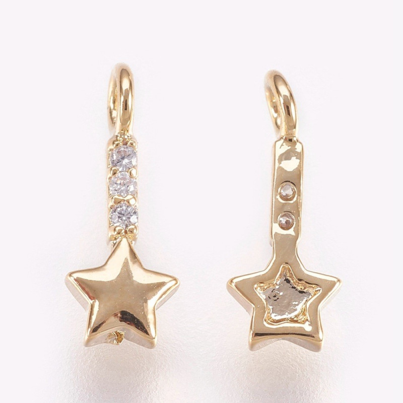 Boucles d'oreilles médaille brossée étoile (zircon)