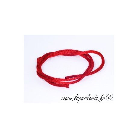 Lanière viscose 2mm ROUGE x2m  - 1