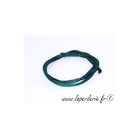 Lanière viscose 2mm VERT SAPIN x2m  - 1