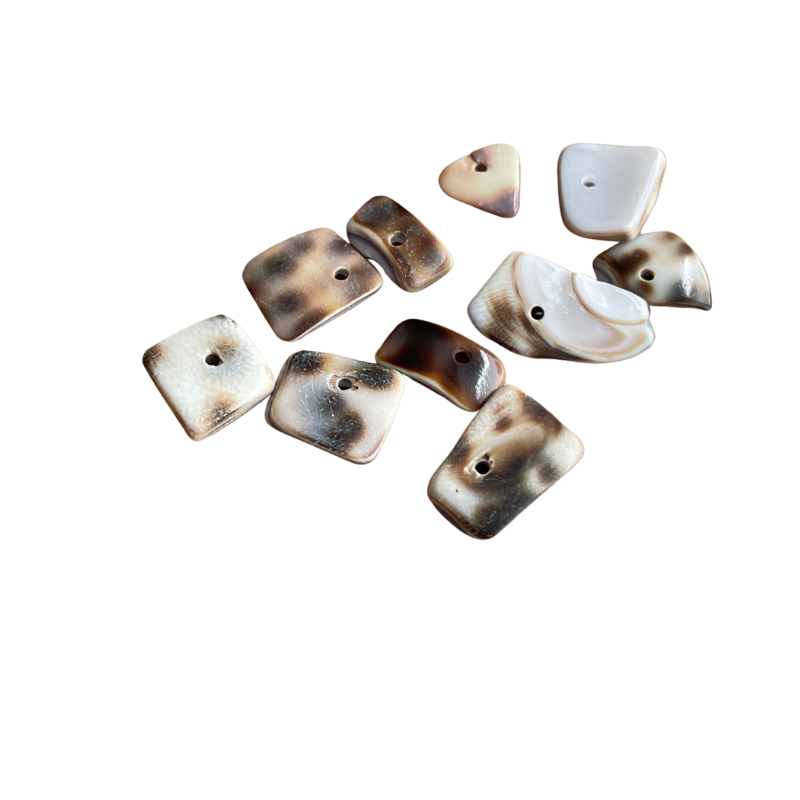 Chips irrégulières en coquillage x10