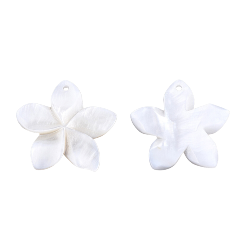 Pendentif en coquillage d'eau douce sculpté, fleur, blanc crème, 31~34.5x32~35.5x3~4mm X1