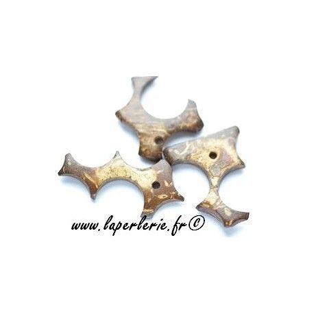 Bois de coco chips 25mm irrégulières x10  - 1