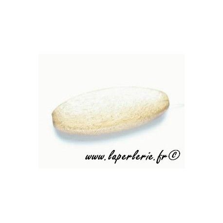 Bois gris des philippines olive aplatie 35x12mm x2  - 1