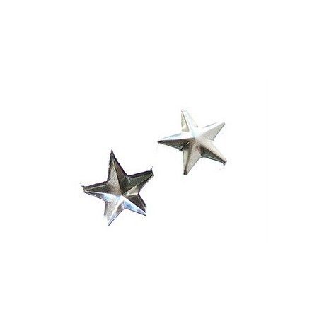Clou à griffes étoile 12mm ARGENTÉ x10  - 1
