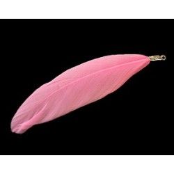 Feather PINK x1